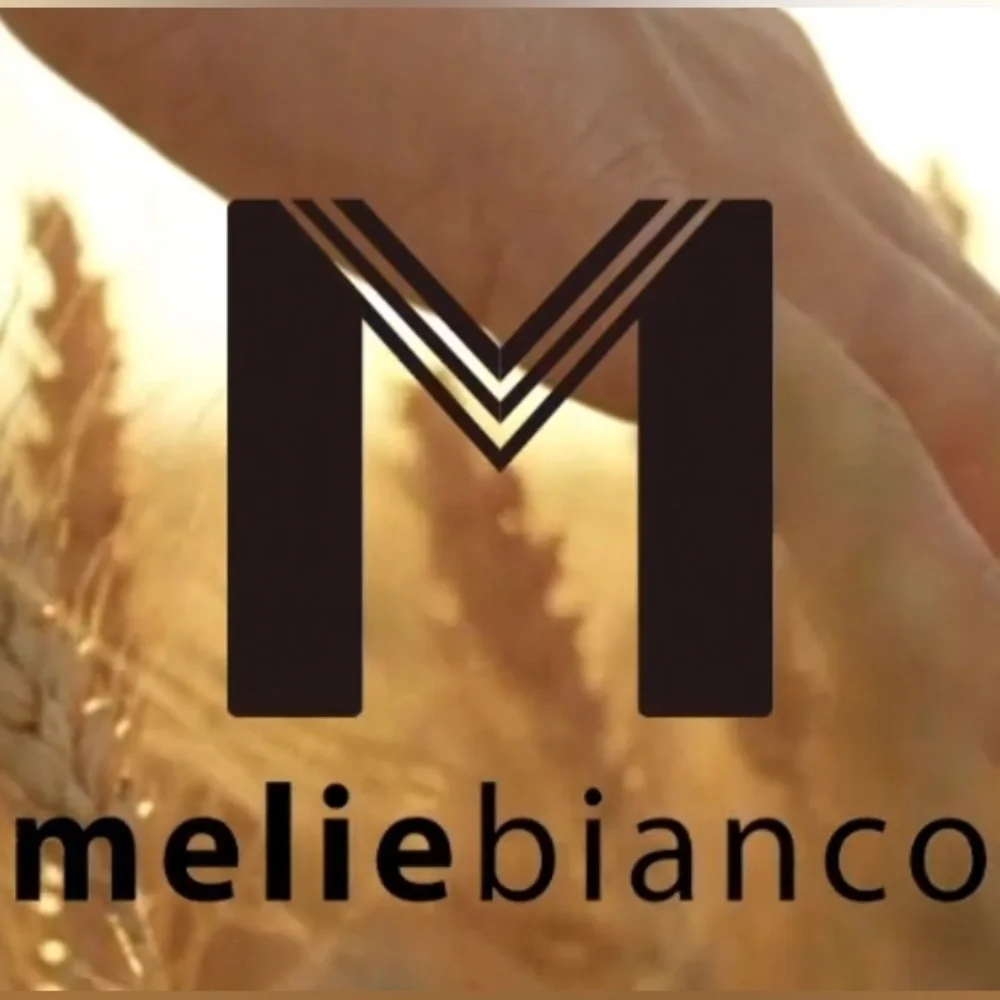 Melie Bianco Vegan Leather Designer Clutch
